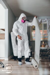 disaster recovery and restoration